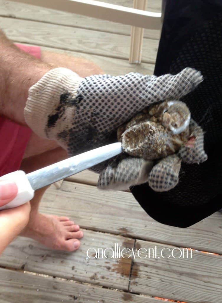 Shucking Oysters With A Knife