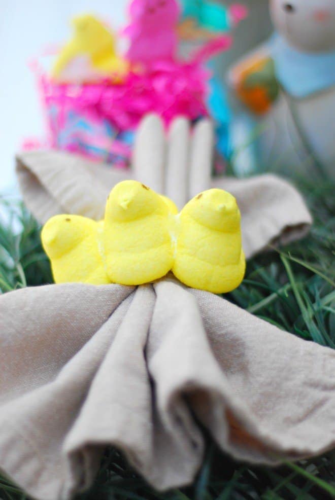 Napkin Ring Holder