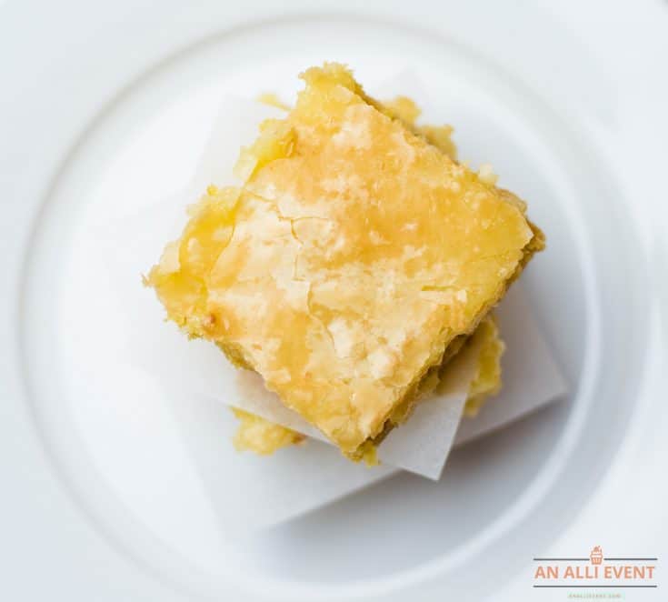 Two lemon squares on a white plate