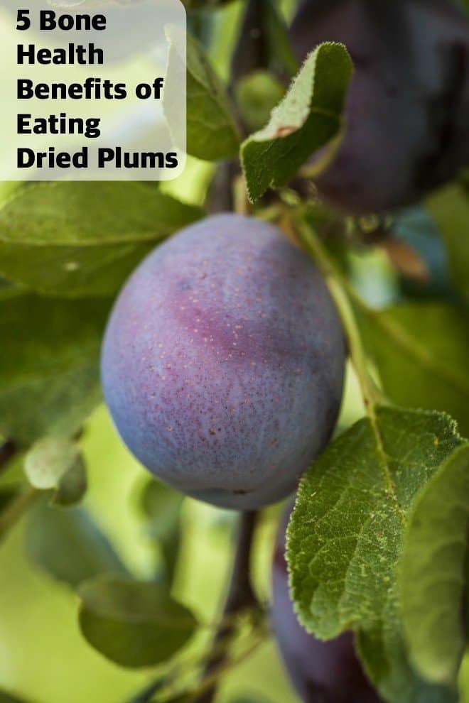 California Dried Plums