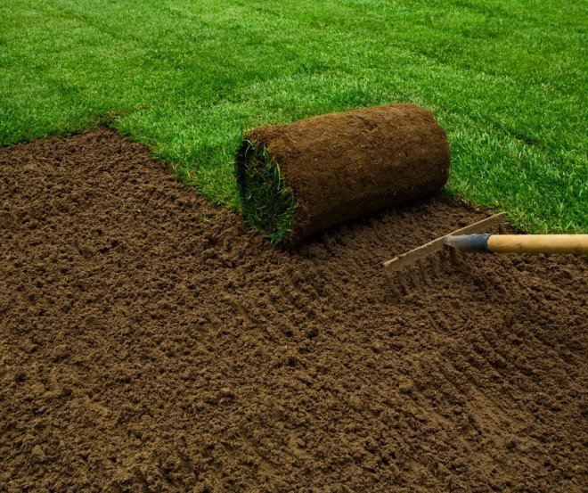 Laying Sod - 5 Tips for a Beautiful Green Lawn