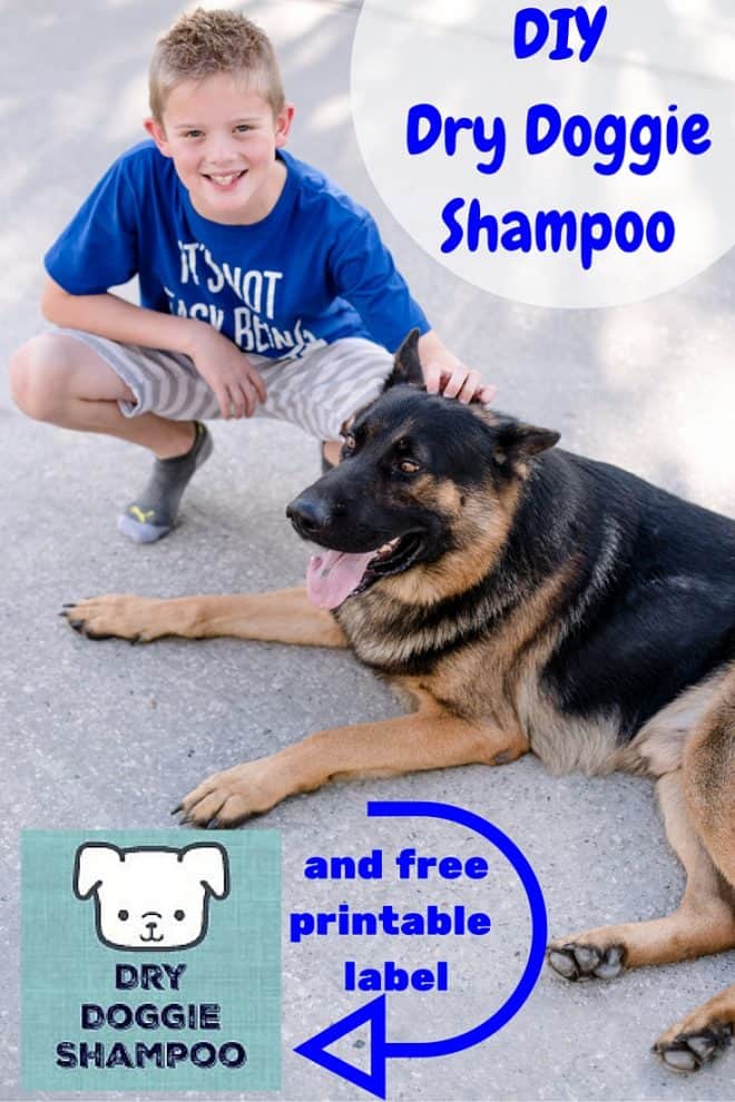 After playing outside, Max and the kids smell like wet dogs! This DIY Dry Doggie Shampoo helps Max smell good between baths. There's only 3 ingredients and I bet you have them all in your pantry. 