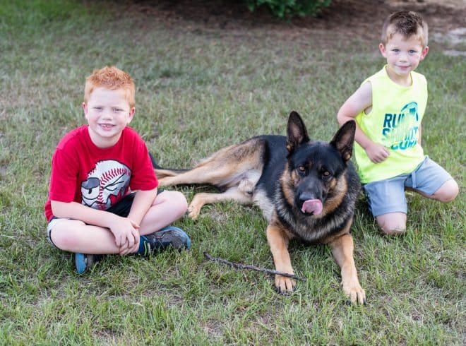 Max and the boys resting after playing - DIY Doggie Shampoo