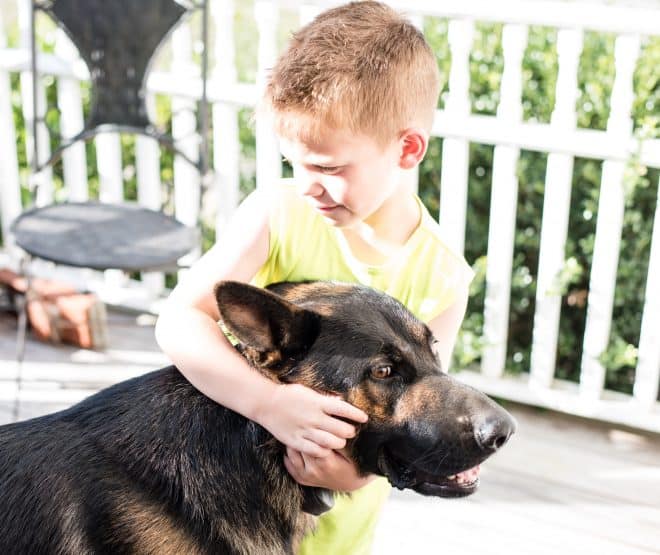 T Hawke bonding with Max - DIY Doggie Shampoo