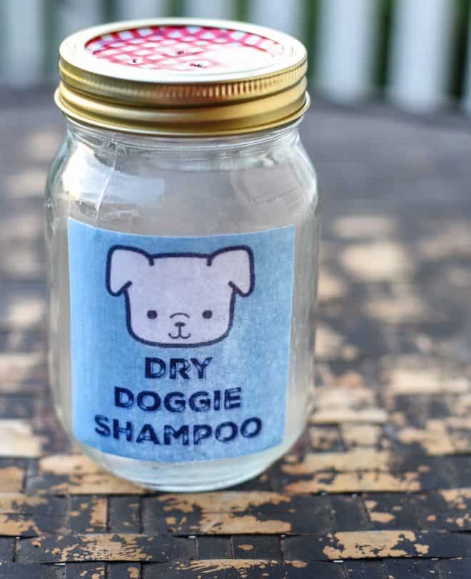 DIY Doggie Shampoo Jar