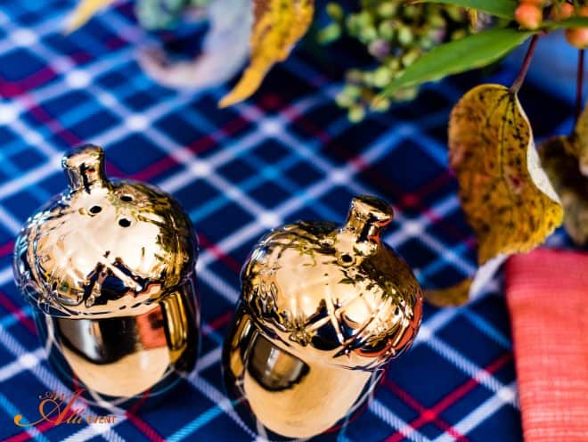 Acorn Salt and Pepper Shakers - Cozy Rustic Thanksgiving