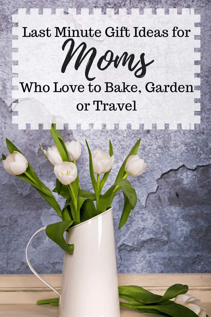 Last Minute Gift Ideas For Moms Who Love To Bake Garden Or Travel