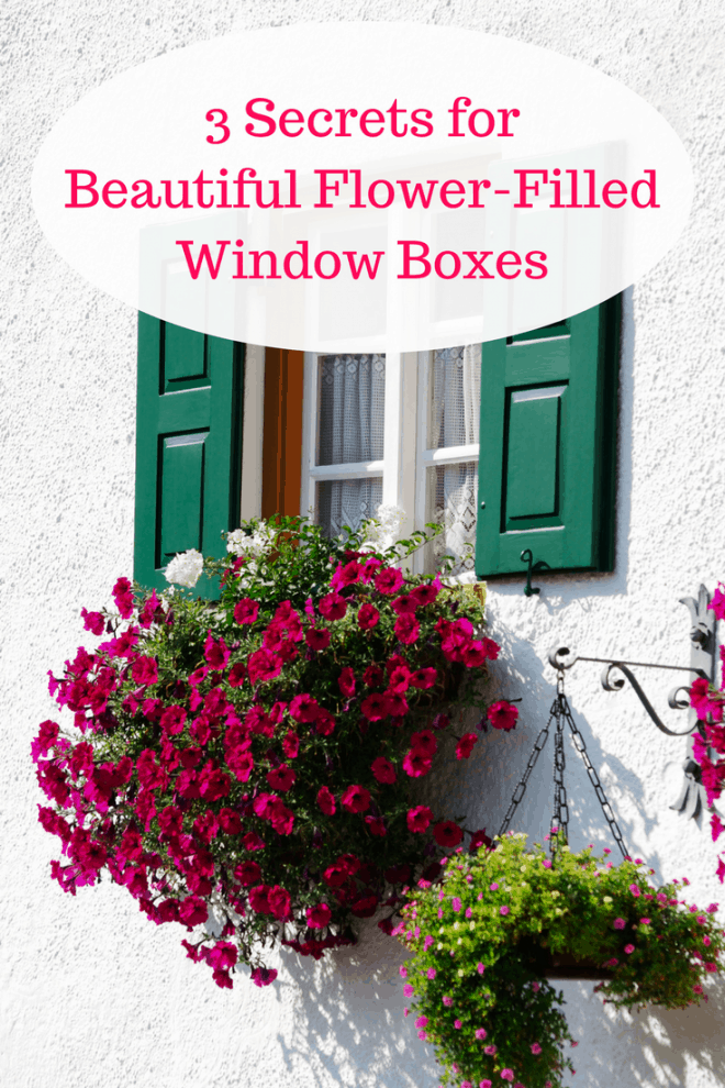 Secrets to Beautiful Flower Filled Window Boxes