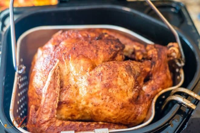 Southern Fried Chicken - Deep Fried Turkey
