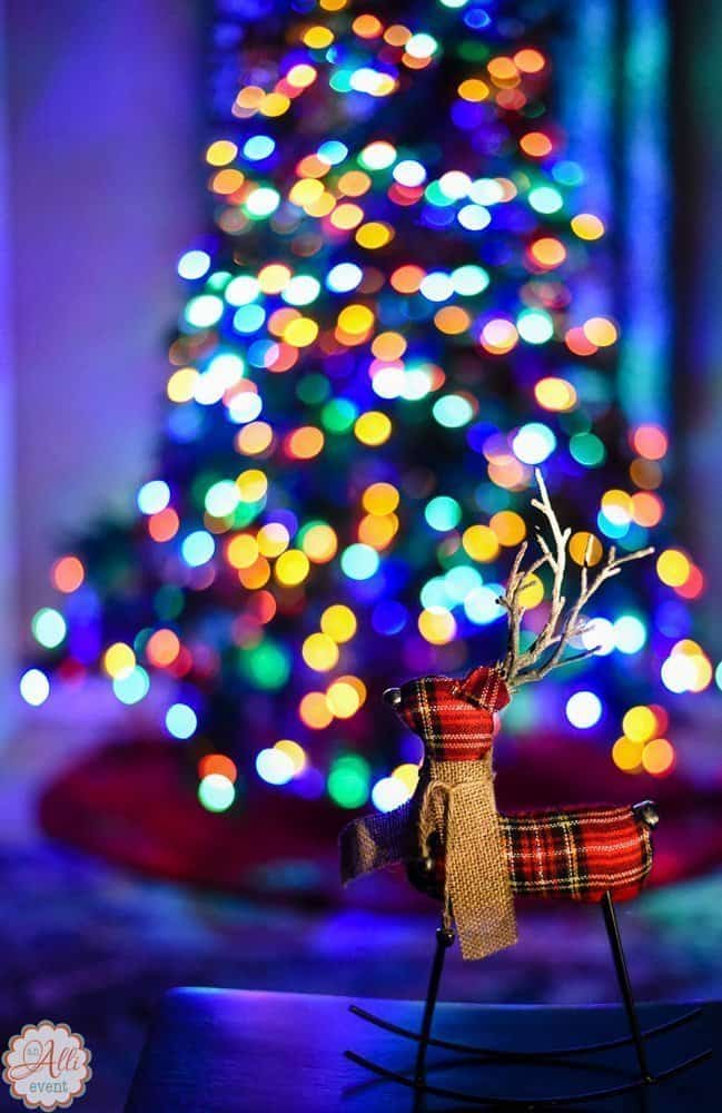 Bokeh Photos of LED Christmas Lights