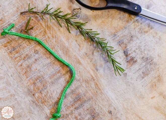 Spring of Rosemary for Easy Wonderland Holiday Table
