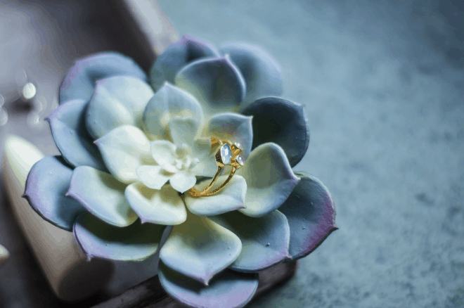 Succulent Bouquets for the Bride