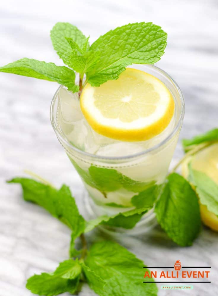 Mint Julep Mocktail Recipe