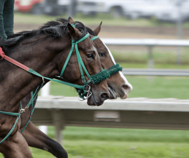 Kentucky Derby - Mint Julep Mocktail