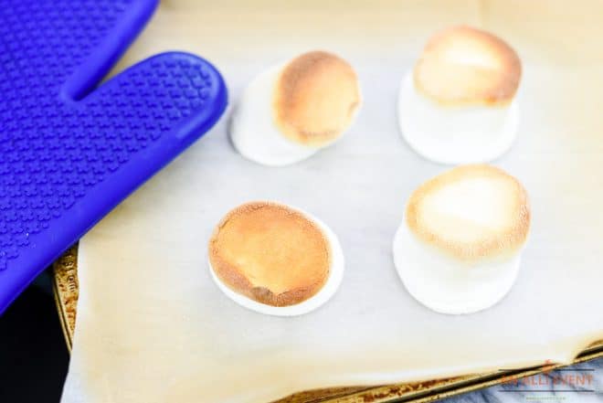 Toasted Marshmallows for Toasted Marshmallow Mocha Milkshake