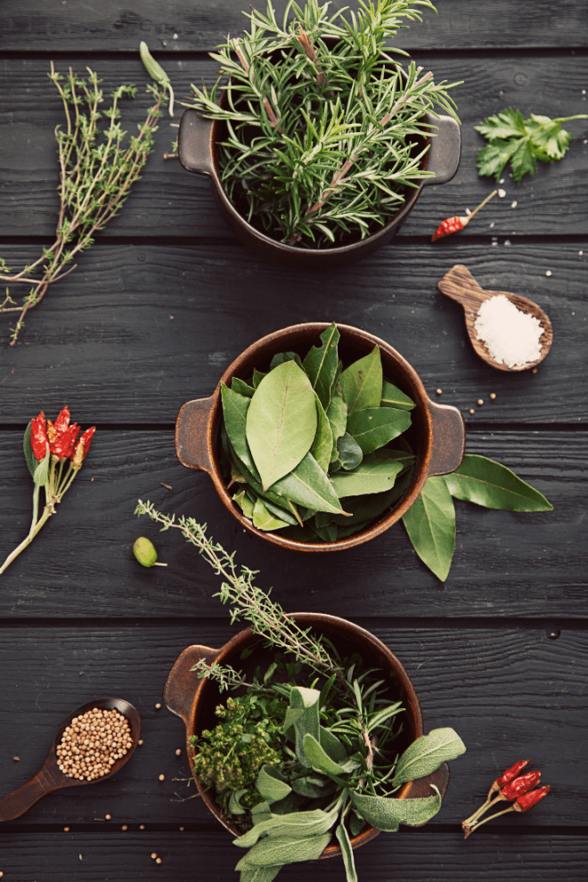 How to Grow & Style a Herb Garden