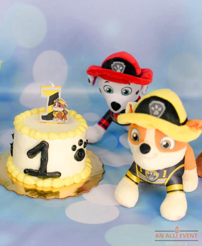 Paw Patrol Smash Cake Photo Shoot