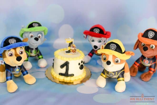 PAW Patrol Smash Cake Photo Shoot