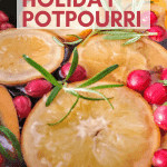 potpourri simmering in a slow cooker