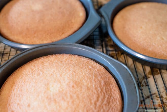 Cake Layers Cooling on a Rack