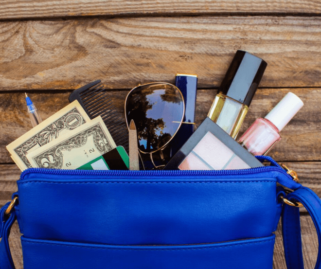 Purge Your Purse Game