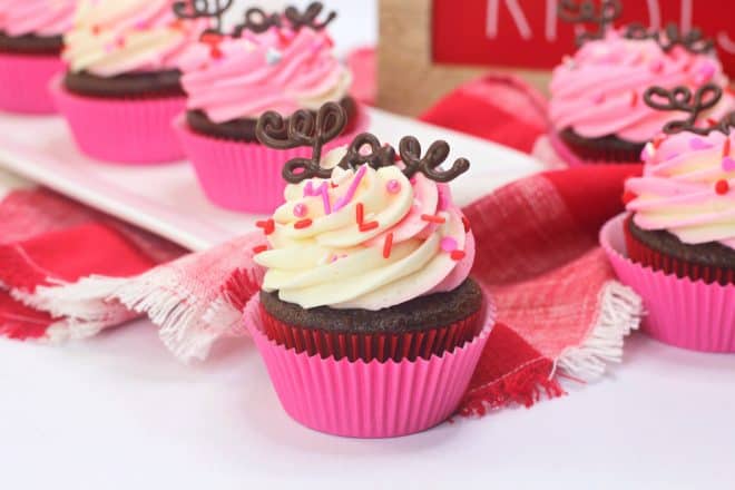 One Classic Chocolate Cupcake in a pink cupcake liner