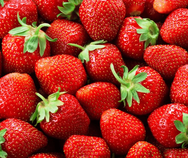 Fresh picked strawberries