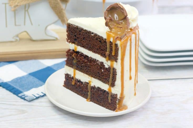 Very Close Up Shot of Chocolate Cake Topped With Vanilla Frosting and Cadbury Eggs