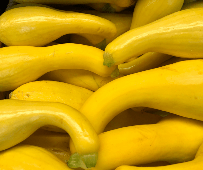 Yellow Squash In A Pile