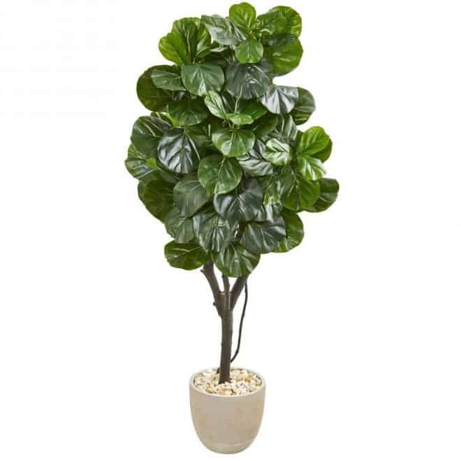 faux fiddle leaf fig tree