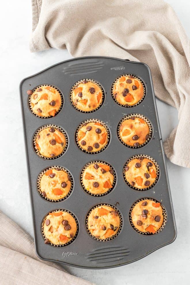fresh from the oven orange chocolate chip muffins in a baking tin