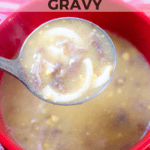 Homemade Giblet Gravy in a red bowl