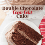 Double Chocolate Coca Cola Cake