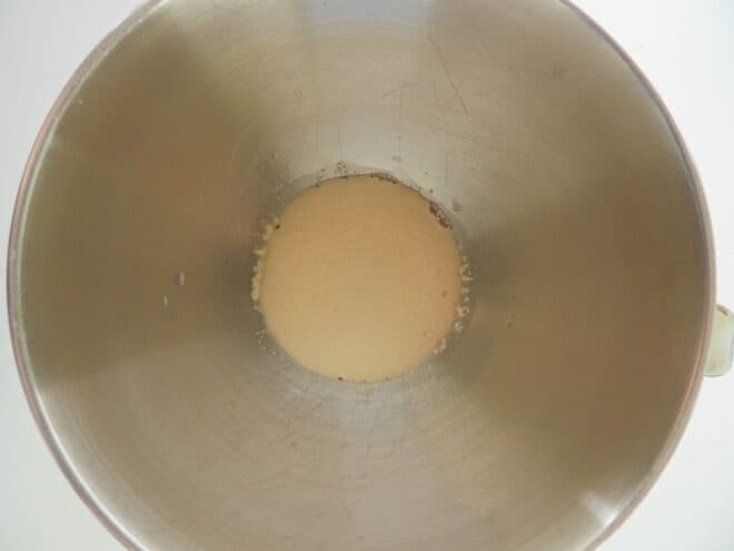 yeast bubbling in a stainless steel mixing bowl