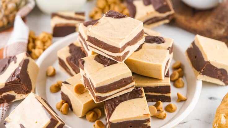 Plate full of pieces of chocolate peanut butter swirl fudge