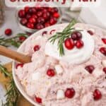 a bowl full of cranberry fluff garnished with whipped topping, whole cranberries and rosemary sprigs