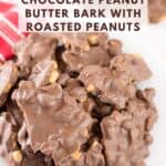 Chocolate Peanut Butter Bark With Roasted Peanuts