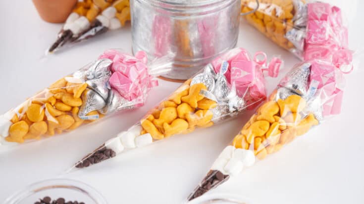 Close Up Photo Of Pencil Treat Bags for parties or school activities