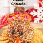 Easy Rudolph Cheeseball surrounded by a cracker collar