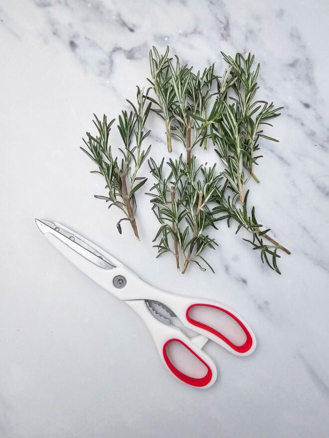 Scissors and rosemary sprigs being cut in half