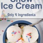 Snow Ice Cream in blue bowl with overlay for Pinterest